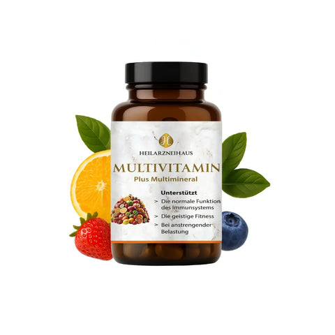 Multivitamin + Multimineral Kapseln HM Heilarzneihaus Medica