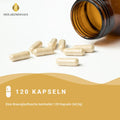Nattokinase + L-Arginin + OPC Traubenkernextrakt Kapseln HM Heilarzneihaus Medica