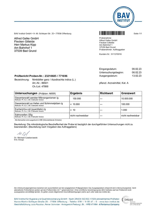 Nimblätter Pulver 250g Heilarzneihaus