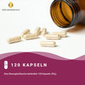 OPC Traubenkernextrakt + Vitamin C Kapseln: Pinienrindenextrakt HM Heilarzneihaus Medica