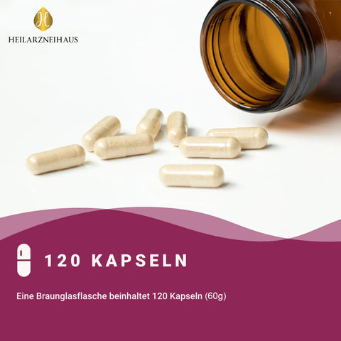 OPC Traubenkernextrakt + Vitamin C Kapseln: Pinienrindenextrakt HM Heilarzneihaus Medica