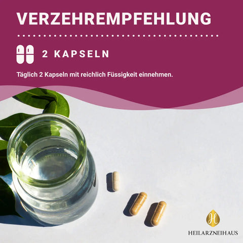 OPC Traubenkernextrakt + Vitamin C Kapseln: Pinienrindenextrakt HM Heilarzneihaus Medica