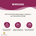 OPC Traubenkernextrakt + Vitamin C Kapseln: Pinienrindenextrakt HM Heilarzneihaus Medica