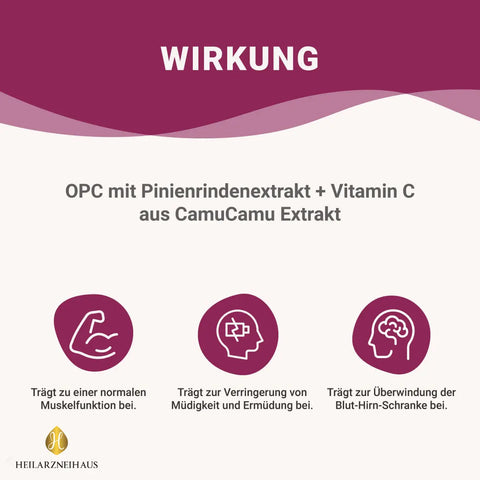 OPC Traubenkernextrakt + Vitamin C Kapseln: Pinienrindenextrakt HM Heilarzneihaus Medica