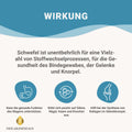 MSM Kapseln OptiMSM® + Vitamin C Kapseln HM Heilarzneihaus Medica