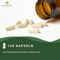 Mindesthaltbarkeit : September 2025 Jod 250 Kapseln HM Heilarzneihaus Medica