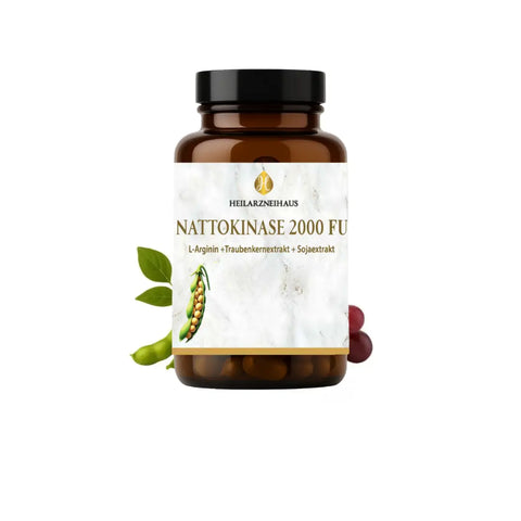 Nattokinase 2000 FU Kapseln