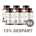 Zink Picolinat + Vitamin C Kapseln HM Heilarzneihaus Medica