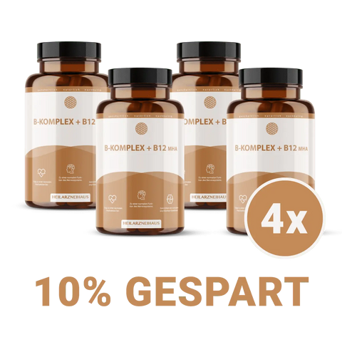 Vitamin B-Komplex hochdosiert Kapseln HM Heilarzneihaus Medica