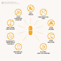 Curcumin + vitamin c kapseln: camu camu + kurkuma HM Heilarzneihaus Medica