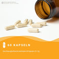 Curcumin + vitamin c kapseln: camu camu + kurkuma HM Heilarzneihaus Medica
