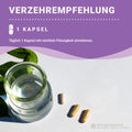 Eisen 45mg + Vitamin C hochdosiert Kapseln: Eisenbisglycinat HM Heilarzneihaus Medica