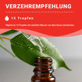 Grapefruitkernextrakt 2600mcg Tropfen Vegan HM Heilarzneihaus Medica