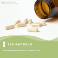 L-Tryptophan Kapseln HM Heilarzneihaus Medica