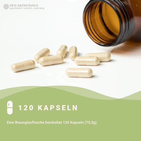 L-Tryptophan Kapseln HM Heilarzneihaus Medica
