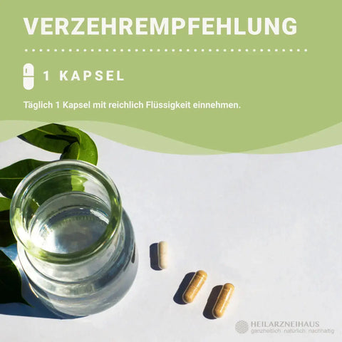 L-Tryptophan Kapseln HM Heilarzneihaus Medica
