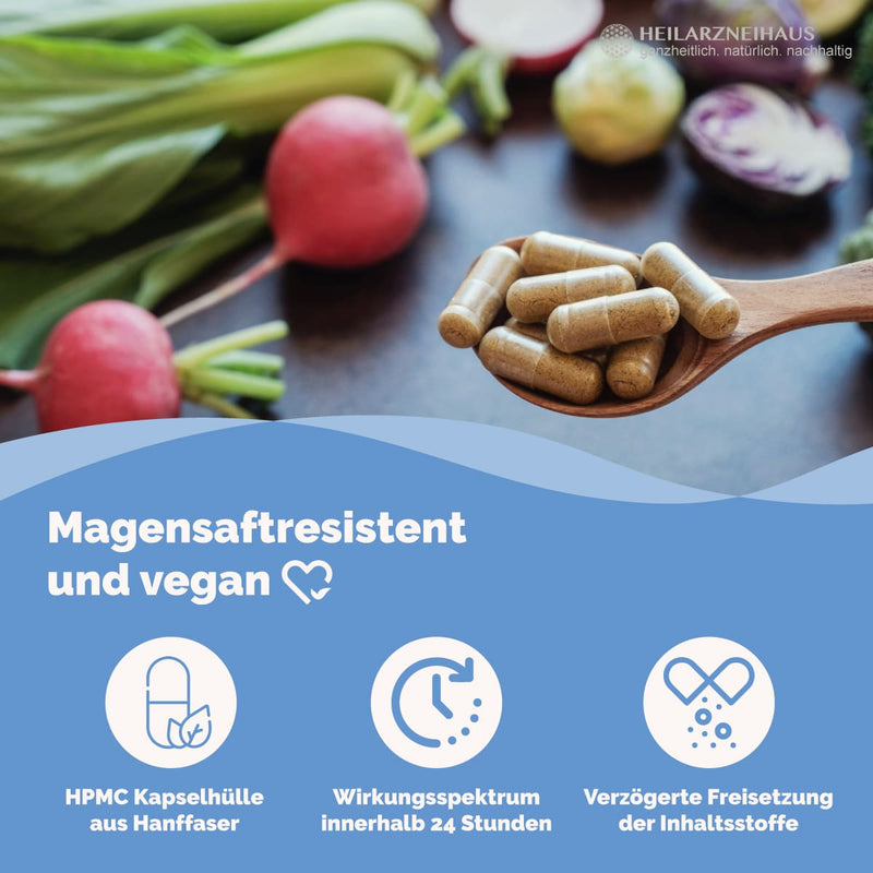 Magnesium 6-Fach Komplex hochdosiert Kapseln