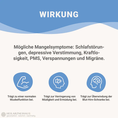 Magnesium 6-Fach Komplex hochdosiert Kapseln HM Heilarzneihaus Medica