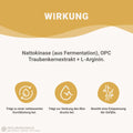 Nattokinase + L-Arginin + OPC Traubenkernextrakt Kapseln HM Heilarzneihaus Medica