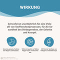 MSM Kapseln OptiMSM® + Vitamin C Kapseln HM Heilarzneihaus Medica