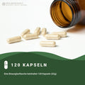 Mindesthaltbarkeit : September 2025 Jod 250 Kapseln: Schwangerschaft & Stillzeit HM Heilarzneihaus Medica