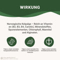 Mindesthaltbarkeit : September 2025 Jod 250 Kapseln: Schwangerschaft & Stillzeit HM Heilarzneihaus Medica