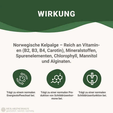 Mindesthaltbarkeit : September 2025 Jod 250 Kapseln: Schwangerschaft & Stillzeit HM Heilarzneihaus Medica