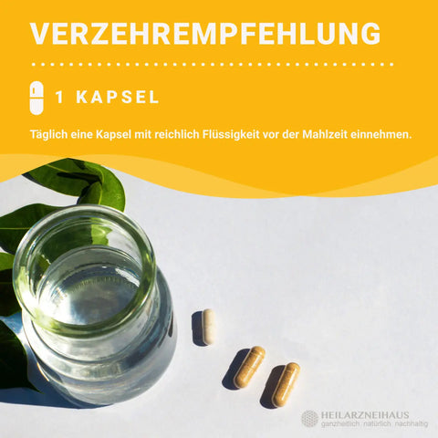 Selen 200 Kapseln: Schilddrüse & Hashimoto HM Heilarzneihaus Medica