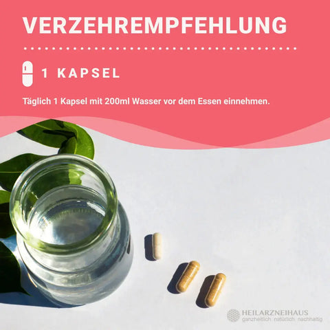 Mindesthaltbarkeit : September 2025 Vitamin B12 hochdosiert + Folsäure Kapseln HM Heilarzneihaus Medica