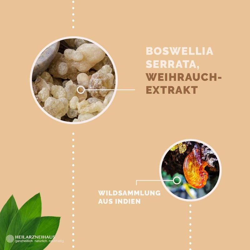 Boswellia Serrata Weihrauch Kapseln: Wildsammlung Heilarzneihaus
