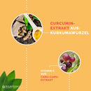 Curcumin + Vitamin C Kapseln: Camu Camu + Kurkuma Heilarzneihaus